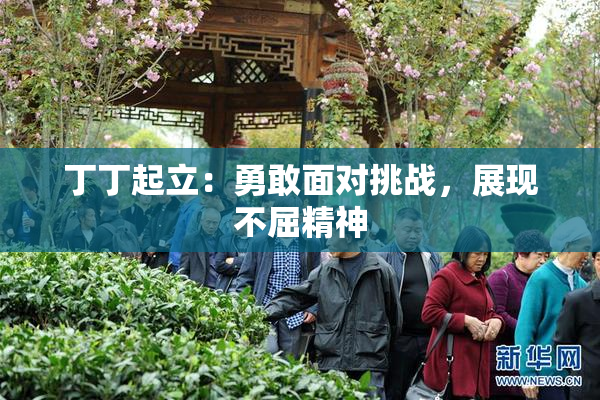 丁丁起立：勇敢面对挑战，展现不屈精神