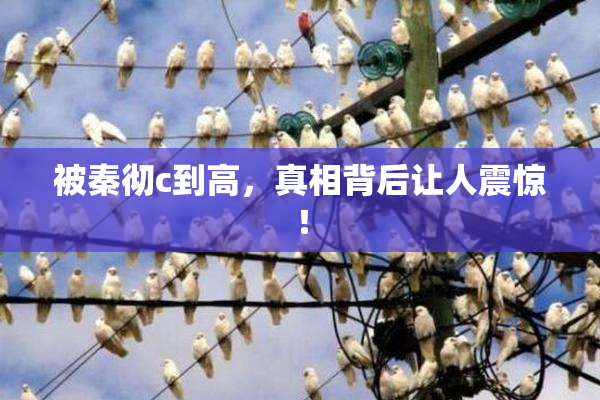 被秦彻c到高，真相背后让人震惊！