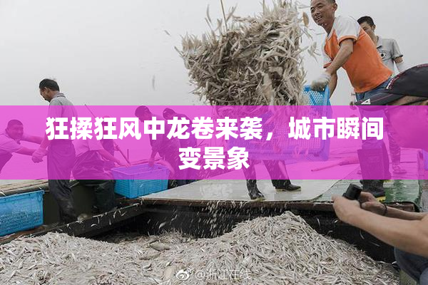 狂揉狂风中龙卷来袭，城市瞬间变景象