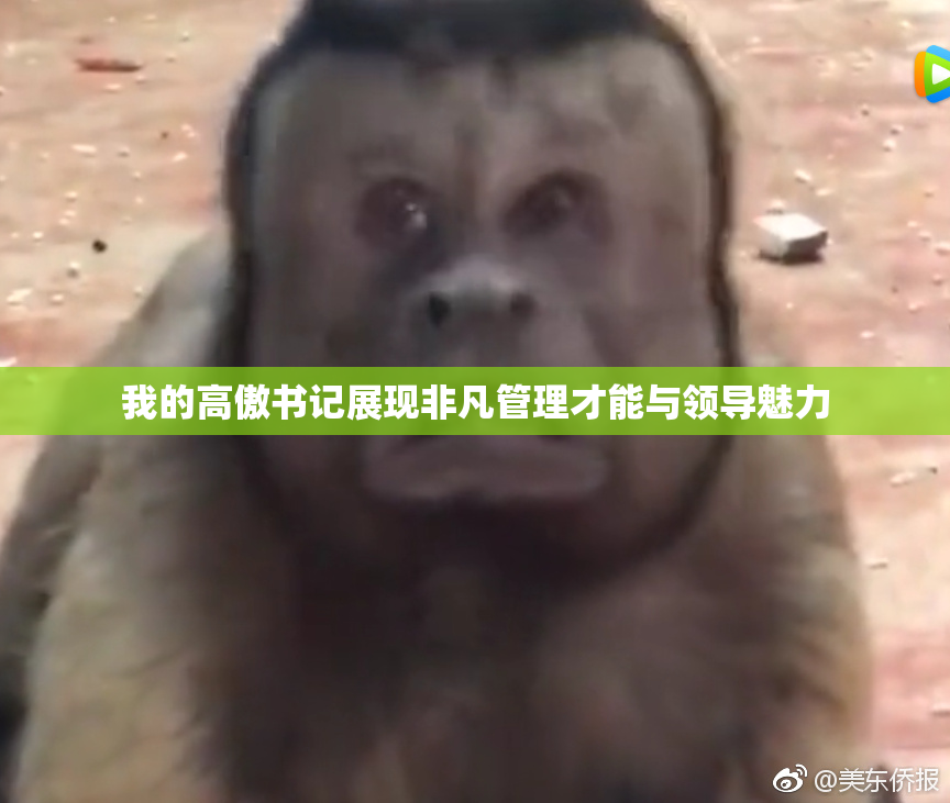 我的高傲书记展现非凡管理才能与领导魅力
