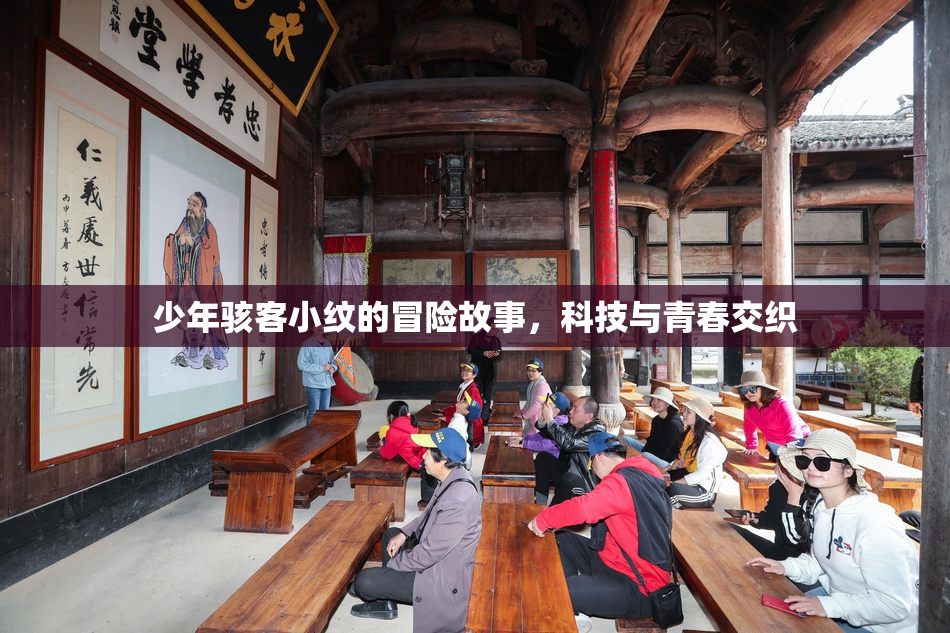少年骇客小纹的冒险故事，科技与青春交织