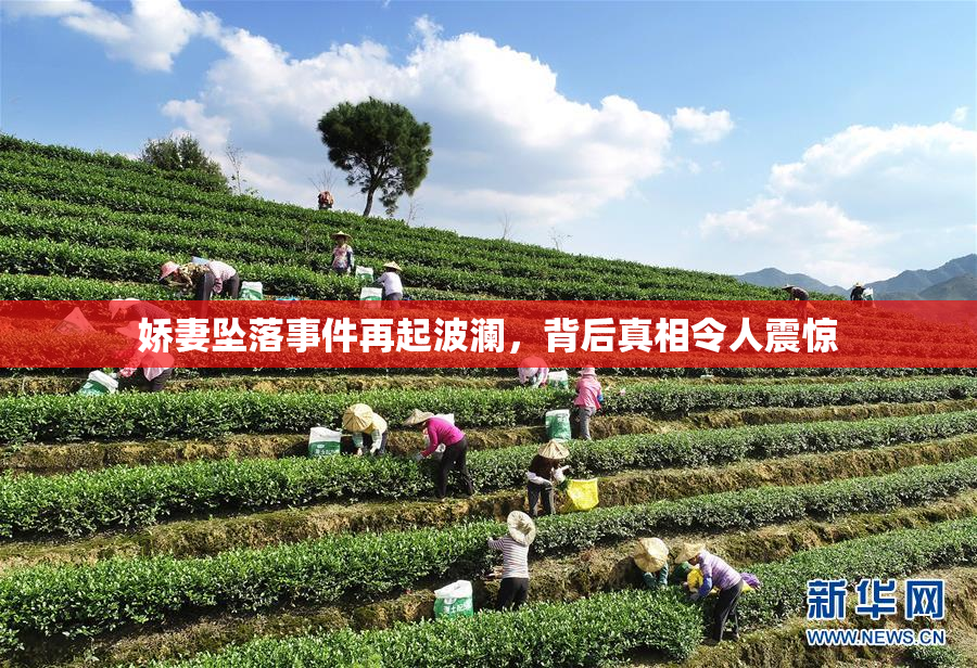 娇妻坠落事件再起波澜，背后真相令人震惊