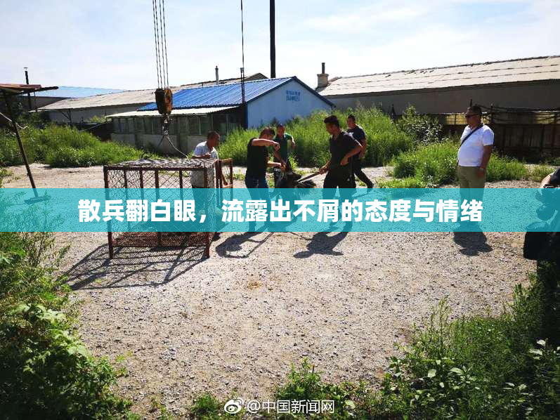 散兵翻白眼，流露出不屑的态度与情绪
