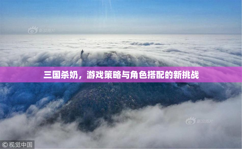 三国杀奶，游戏策略与角色搭配的新挑战