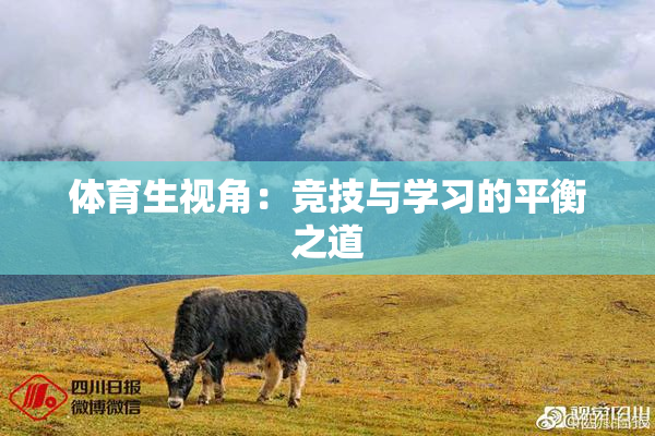 体育生视角：竞技与学习的平衡之道
