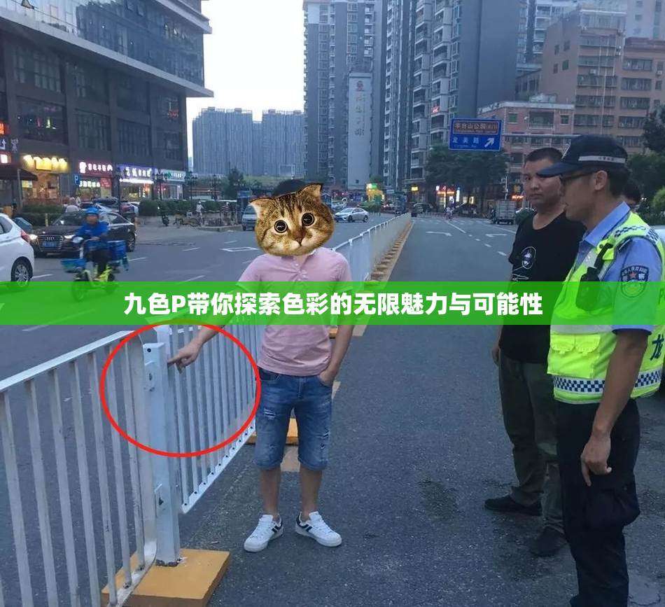 九色P带你探索色彩的无限魅力与可能性