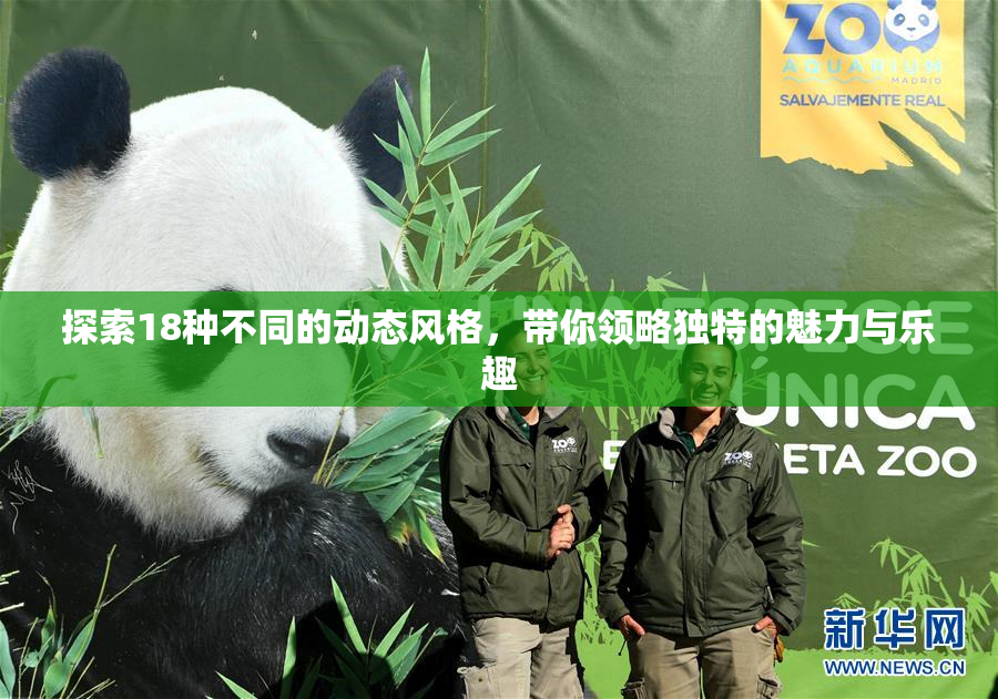 探索18种不同的动态风格，带你领略独特的魅力与乐趣
