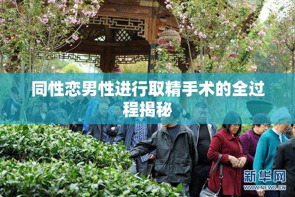 同性恋男性进行取精手术的全过程揭秘