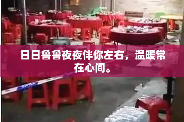 日日鲁鲁夜夜伴你左右，温暖常在心间。