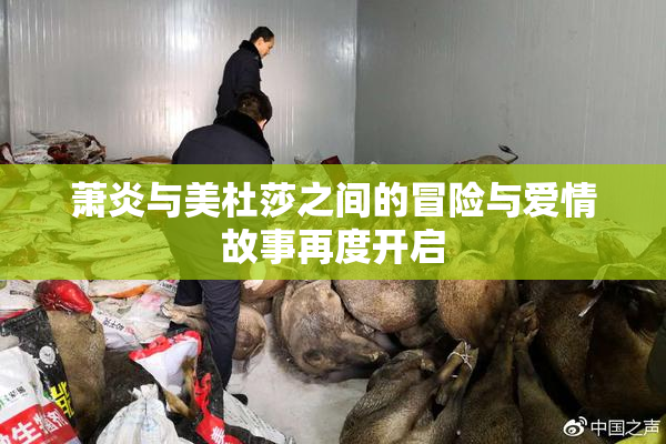萧炎与美杜莎之间的冒险与爱情故事再度开启