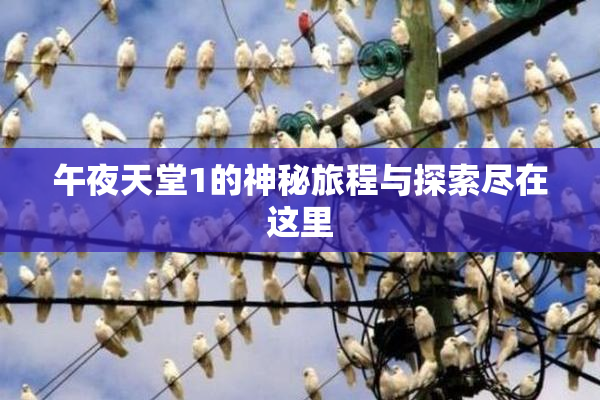 午夜天堂1的神秘旅程与探索尽在这里