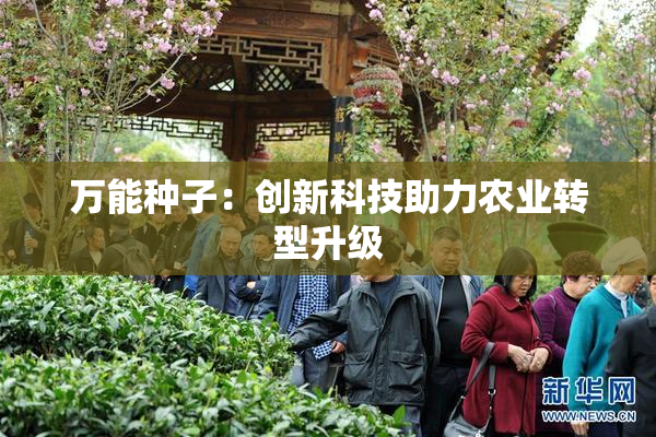 万能种子：创新科技助力农业转型升级