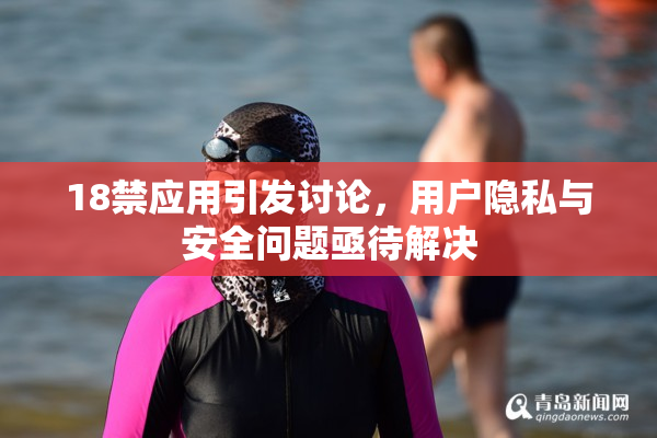 18禁应用引发讨论，用户隐私与安全问题亟待解决