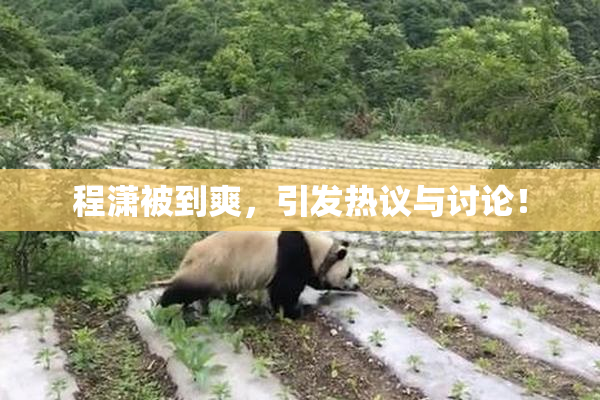 程潇被到爽，引发热议与讨论！