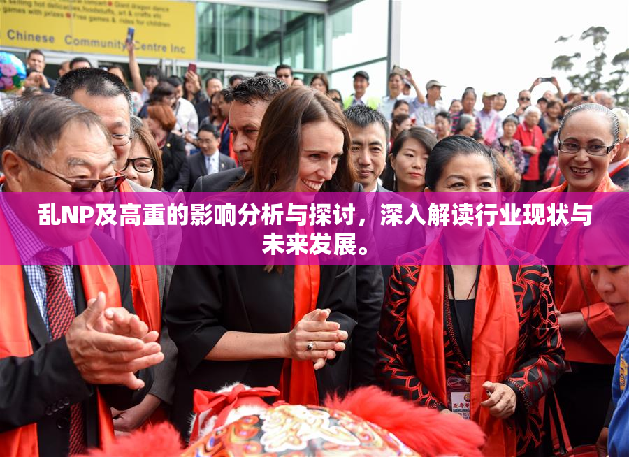 乱NP及高重的影响分析与探讨，深入解读行业现状与未来发展。