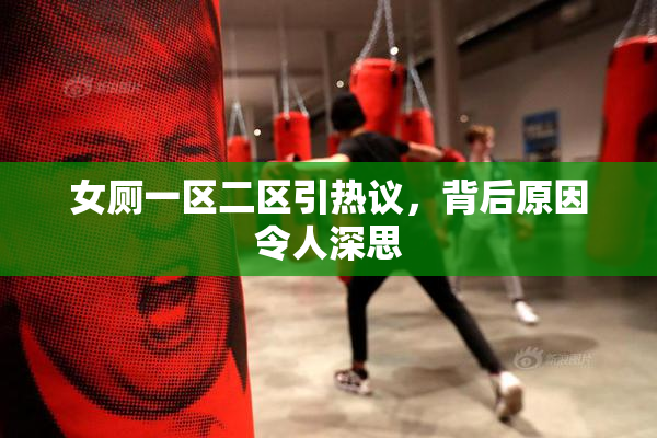 女厕一区二区引热议，背后原因令人深思