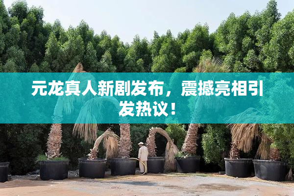 元龙真人新剧发布，震撼亮相引发热议！