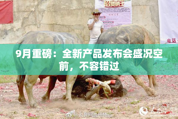 9月重磅：全新产品发布会盛况空前，不容错过