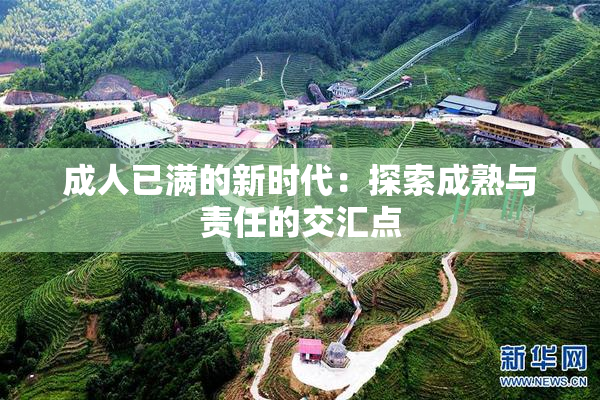 成人已满的新时代：探索成熟与责任的交汇点