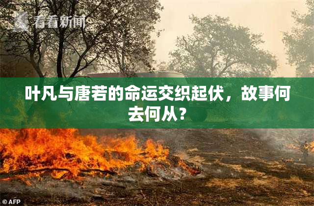 叶凡与唐若的命运交织起伏，故事何去何从？
