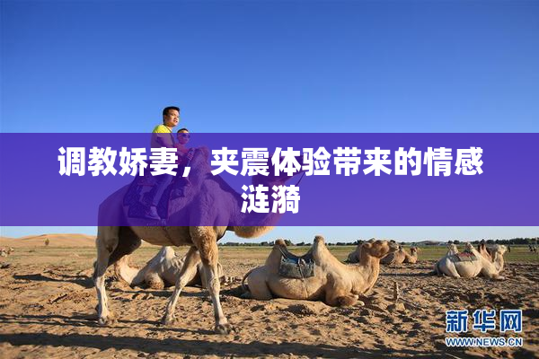 调教娇妻，夹震体验带来的情感涟漪