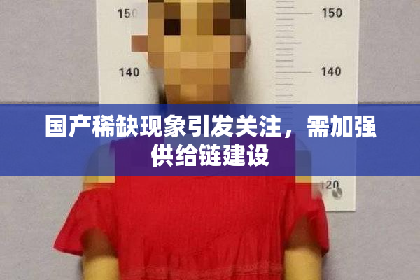 国产稀缺现象引发关注，需加强供给链建设