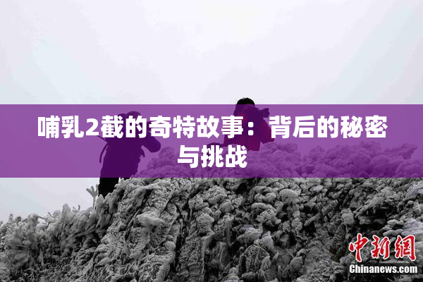 哺乳2截的奇特故事：背后的秘密与挑战