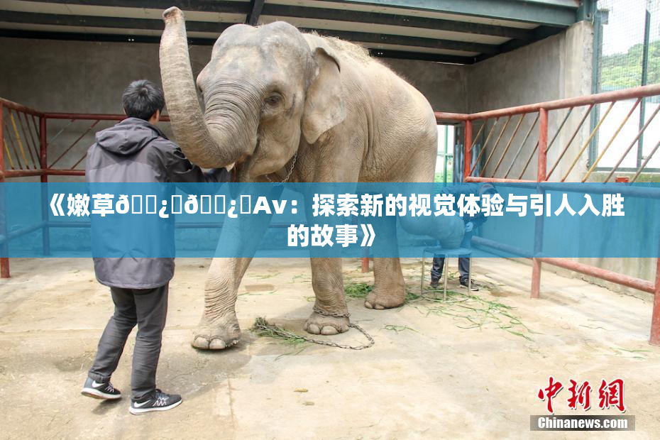 《嫩草🌿‌🌿‌Av：探索新的视觉体验与引人入胜的故事》