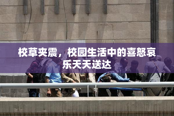 校草夹震，校园生活中的喜怒哀乐天天送达