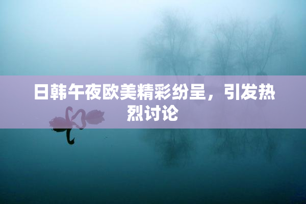 日韩午夜欧美精彩纷呈，引发热烈讨论