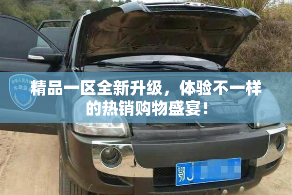 精品一区全新升级，体验不一样的热销购物盛宴！