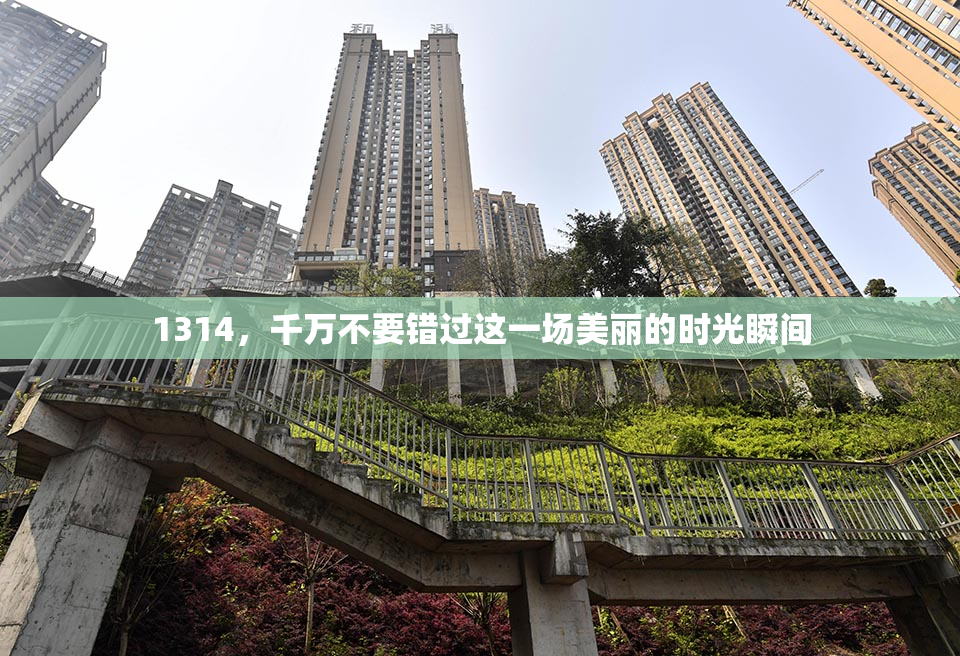 1314，千万不要错过这一场美丽的时光瞬间
