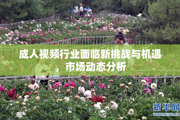 成人视频行业面临新挑战与机遇，市场动态分析