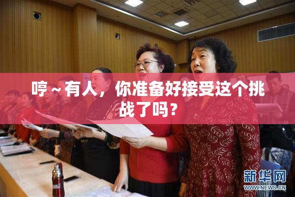 哼～有人，你准备好接受这个挑战了吗？