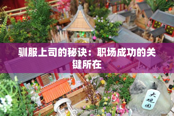 驯服上司的秘诀：职场成功的关键所在
