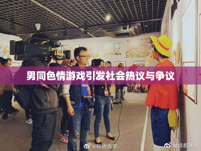 男同色情游戏引发社会热议与争议