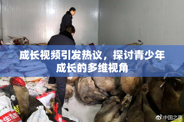 成长视频引发热议，探讨青少年成长的多维视角