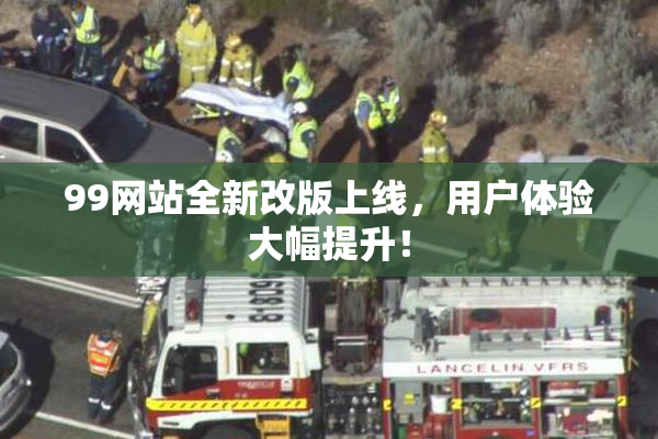 99网站全新改版上线，用户体验大幅提升！