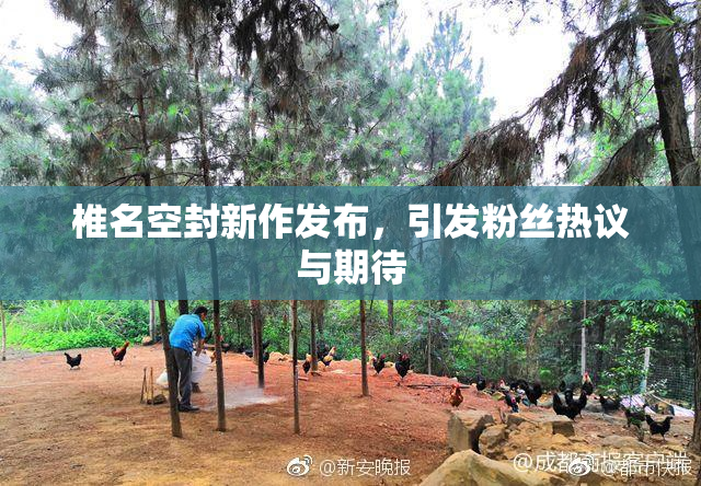 椎名空封新作发布，引发粉丝热议与期待