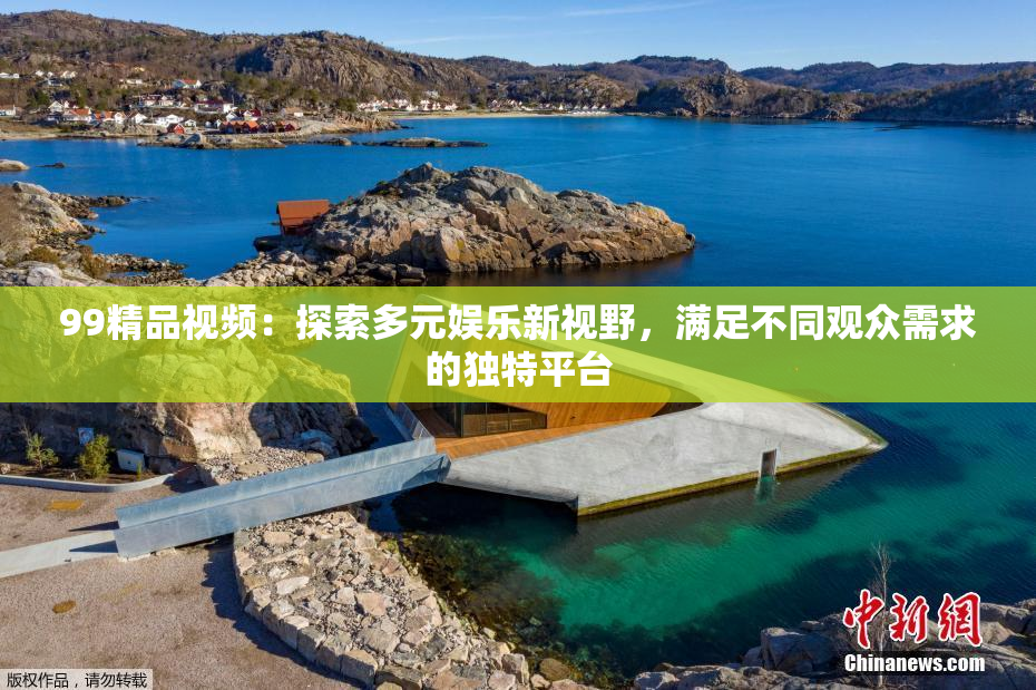 99精品视频：探索多元娱乐新视野，满足不同观众需求的独特平台