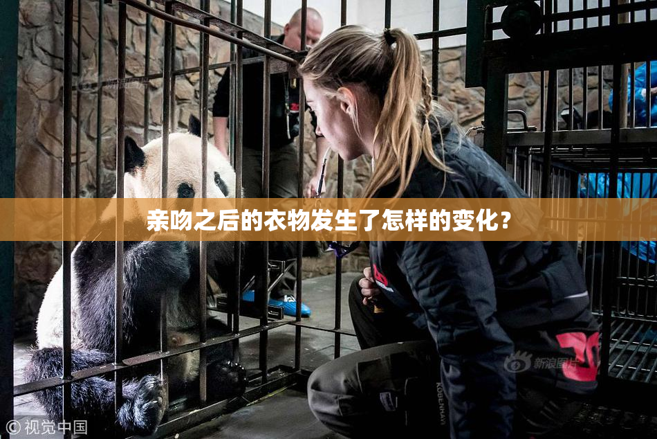亲吻之后的衣物发生了怎样的变化？