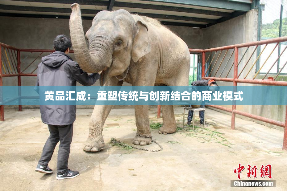 黄品汇成：重塑传统与创新结合的商业模式