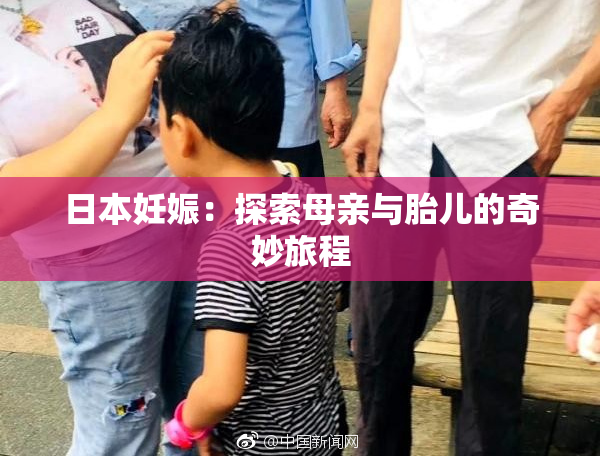 日本妊娠：探索母亲与胎儿的奇妙旅程