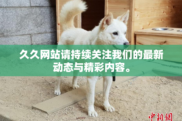 久久网站请持续关注我们的最新动态与精彩内容。