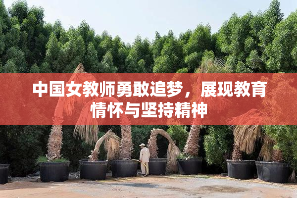 中国女教师勇敢追梦，展现教育情怀与坚持精神