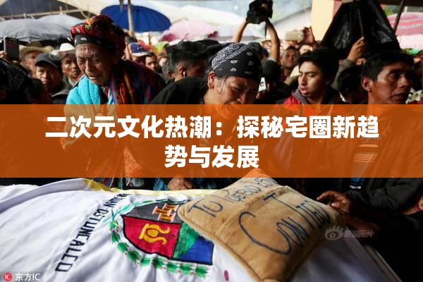 二次元文化热潮：探秘宅圈新趋势与发展