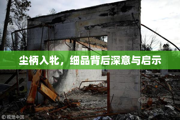 尘柄入牝，细品背后深意与启示