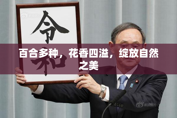 百合多种，花香四溢，绽放自然之美