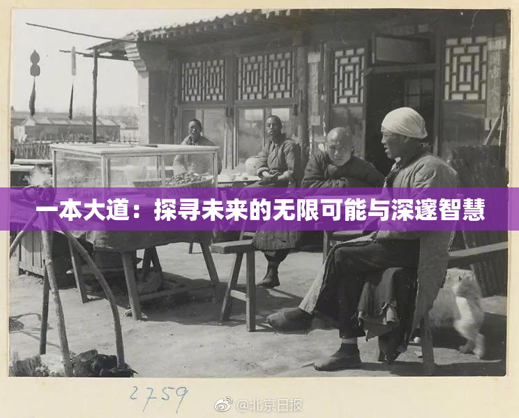 一本大道：探寻未来的无限可能与深邃智慧