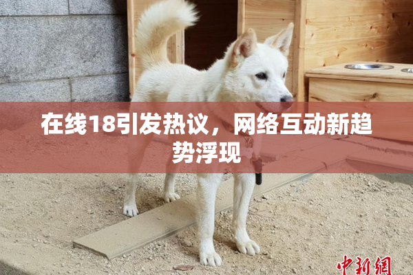 在线18引发热议，网络互动新趋势浮现
